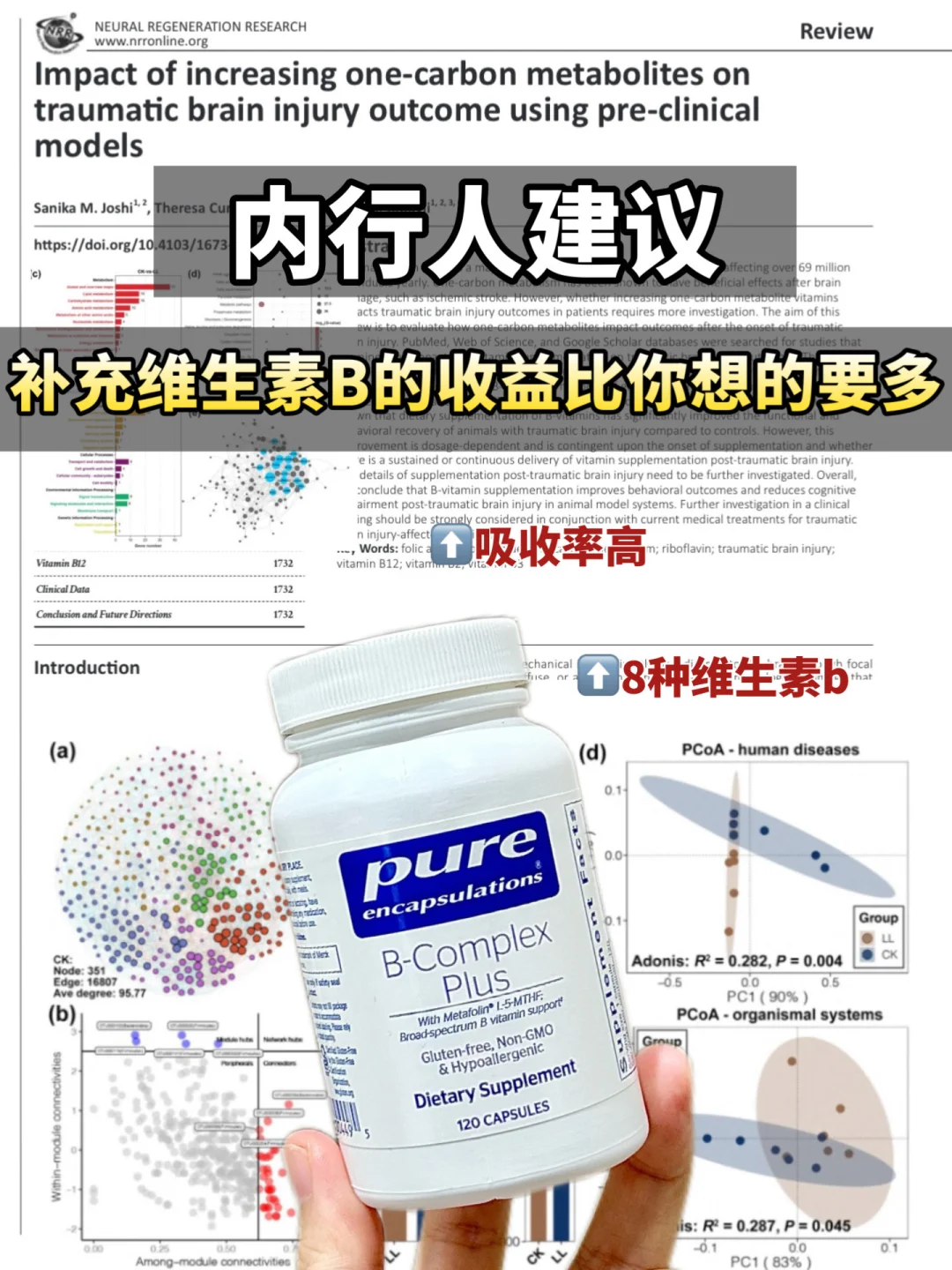 干货升级！维生素B补对了真的会惊艳到