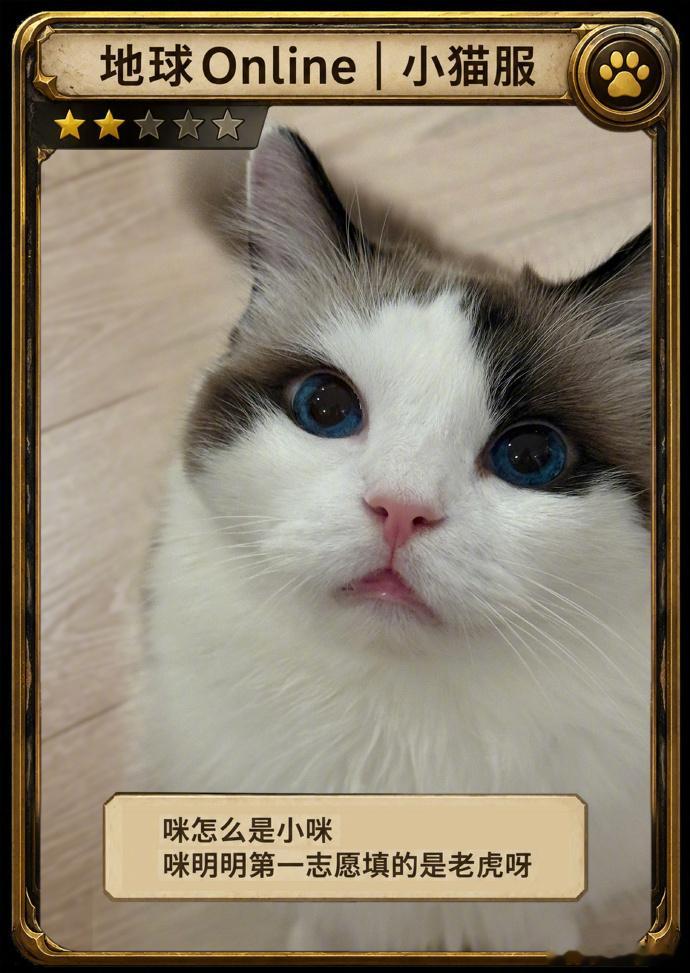 高考后人生自定义啊啊啊高考结束了嘛朋友们！假期玩啥