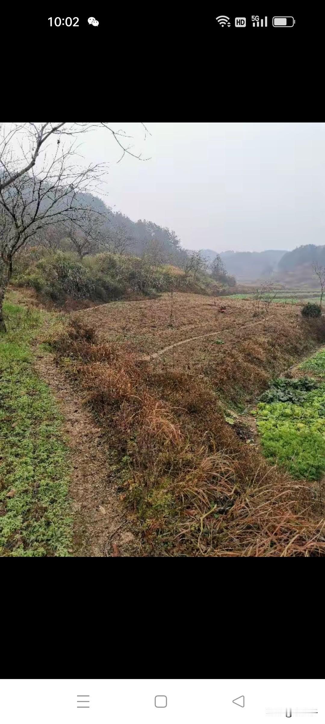 东北方言之（774）撂荒：
指耕地弃置不耕种，任由土地长野草荒芜。
凡指事情搁置