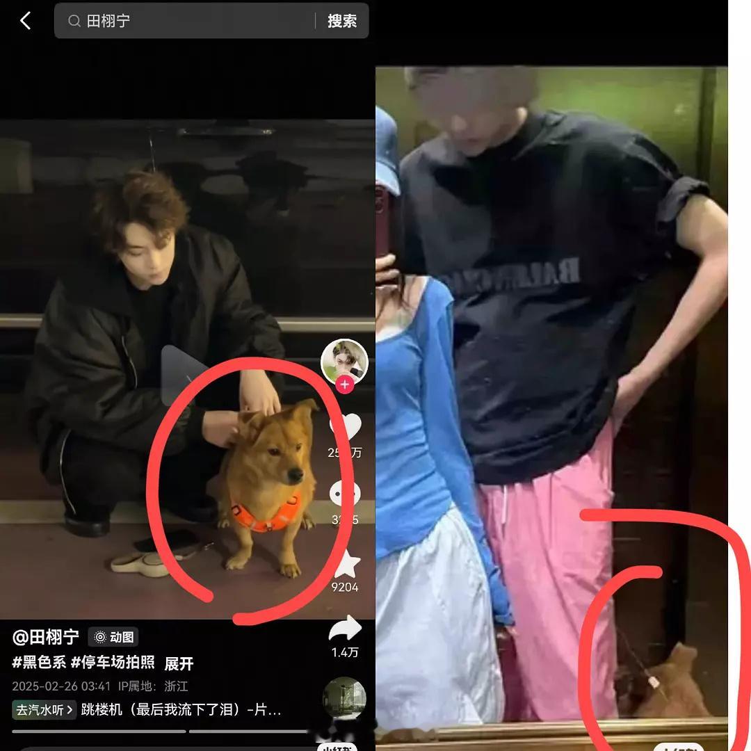 不…这是谁的狗？？？田雷的还是若若的[晕][晕][晕][晕][晕][晕]田栩宁 