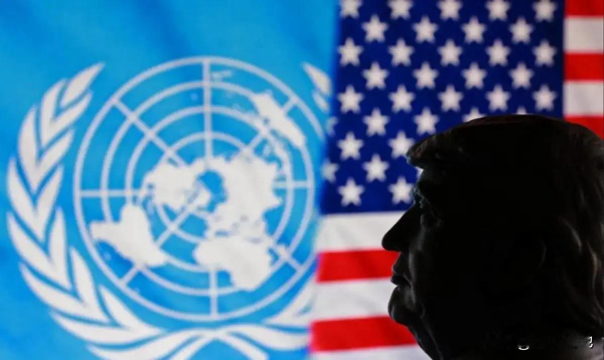 川普公然绕过联合国，要自立门户并邀请许多国家，成立什么“和平委员会”，显然这个组