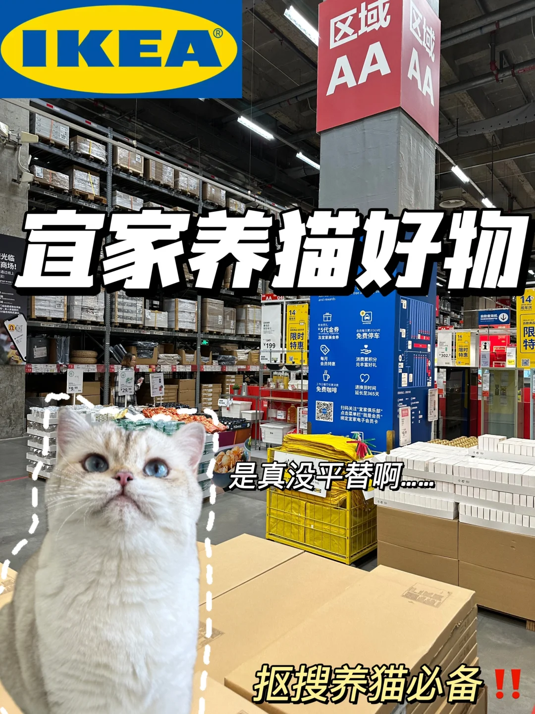 宜家新手养🐱好物！穷养新手必备‼️低至1.99r