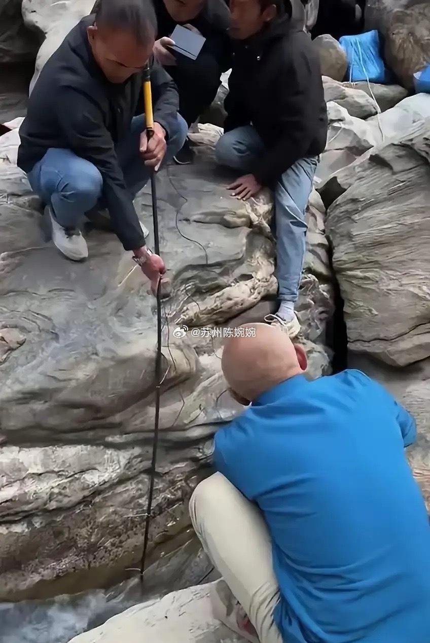 本来都已经放弃救援了，没过几天，家属提出了一个让人无法拒绝的请求。
家属希望：不