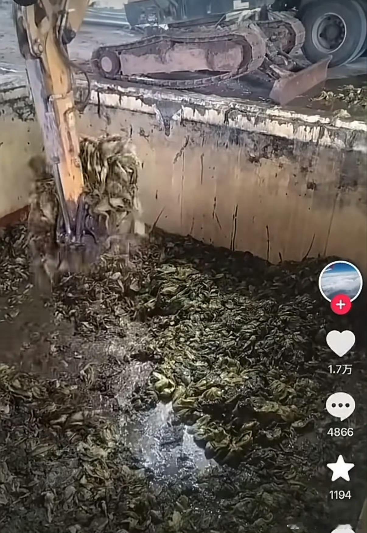 老坛酸菜已经塌无可塌了emm老坛酸菜泡面你们还敢吃么 