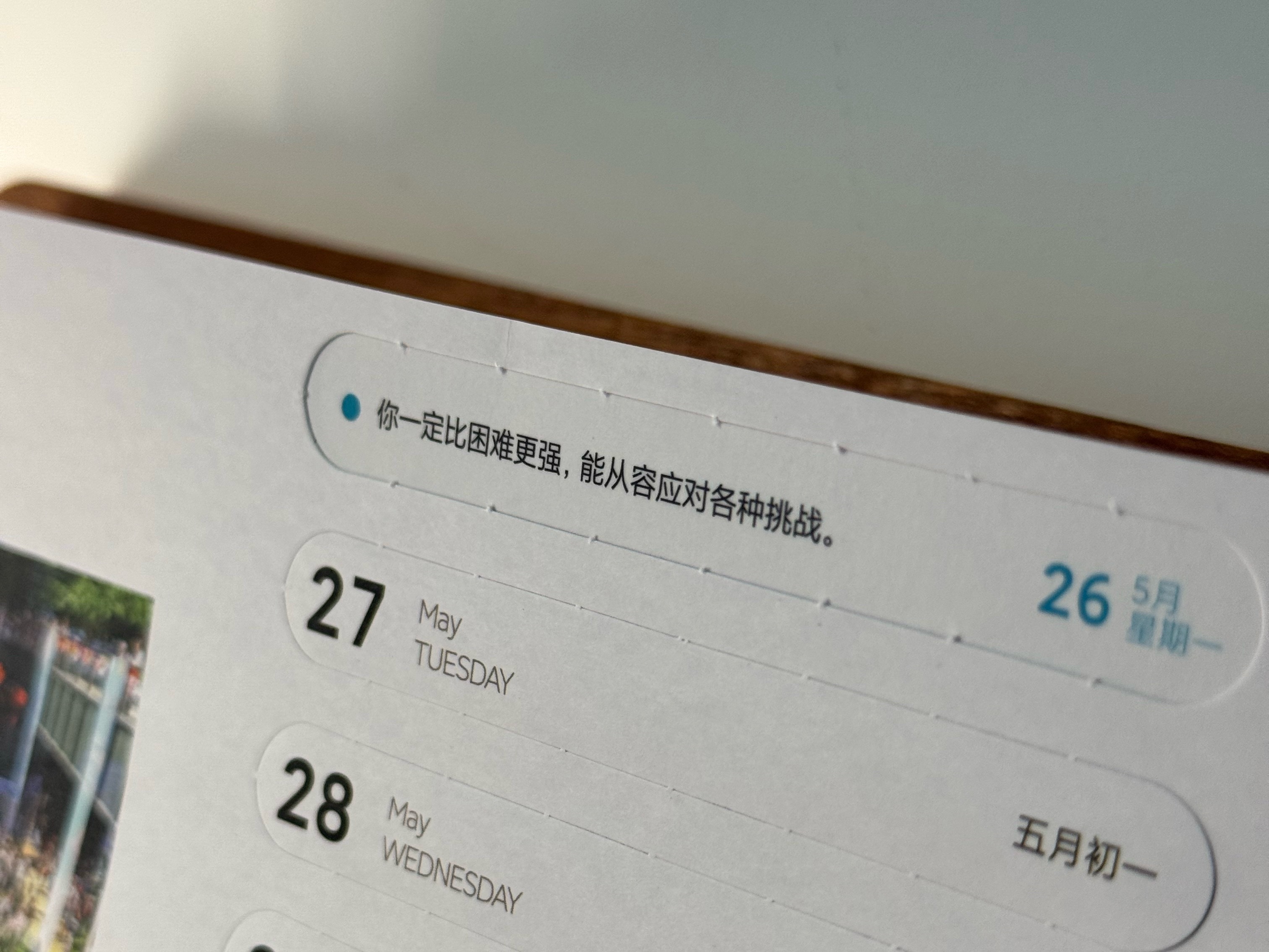 早上好，美好的周一！周末就是端午节了！开心！请三位铁粉喝咖啡，评论就行！点赞3次