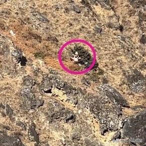 大年初五8岁男童虎跳峡坠崖遇难
大年初五，本该是迎财神的好日子，却传来让人揪心的