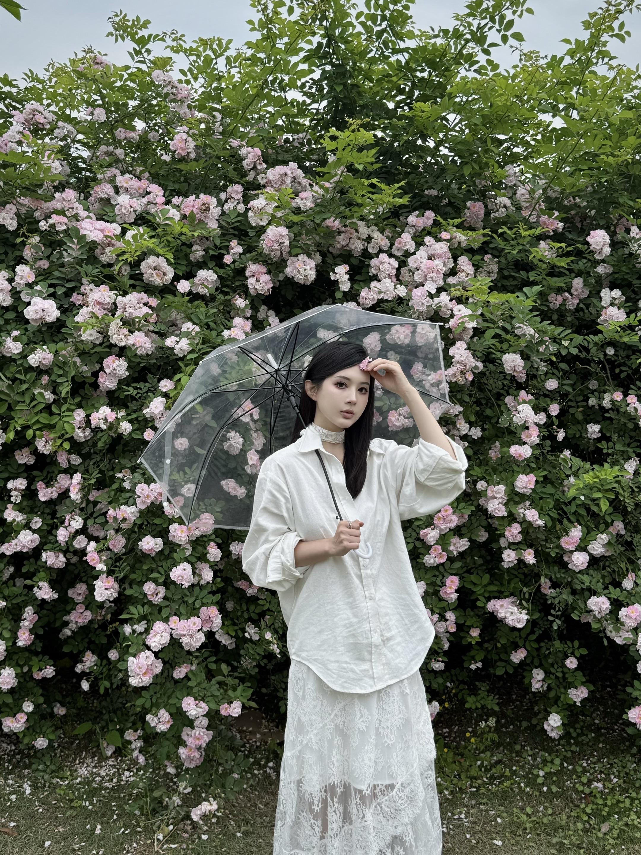 路过一片蔷薇花墙🌸。