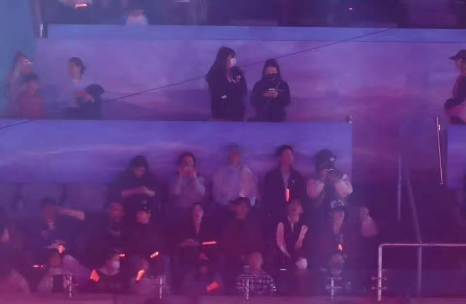 张极又去看张杰演唱会了张极现身张杰鸟巢演唱会 张杰鸟巢演唱会张极又去了，他真的看