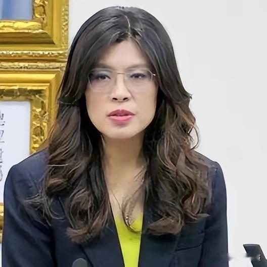 态度大变！对岸传来重磅发声，郑丽文直言：任何逼迫、任何冲突，一概绝不接受。

近