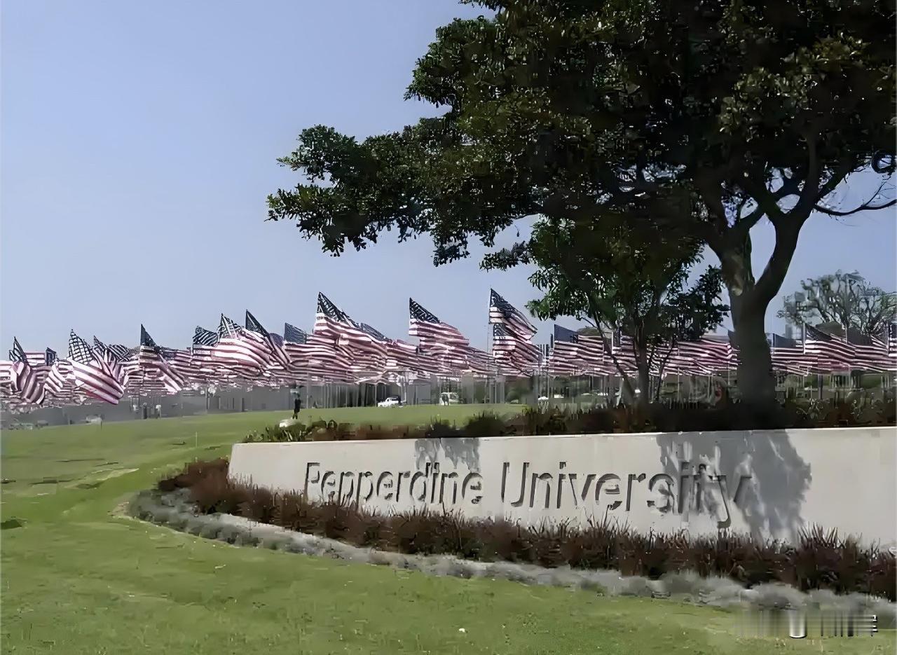 宗馥莉在美国佩珀代因大学留学，有国际视野，估计学到了美国人性化的一边，美国人人边