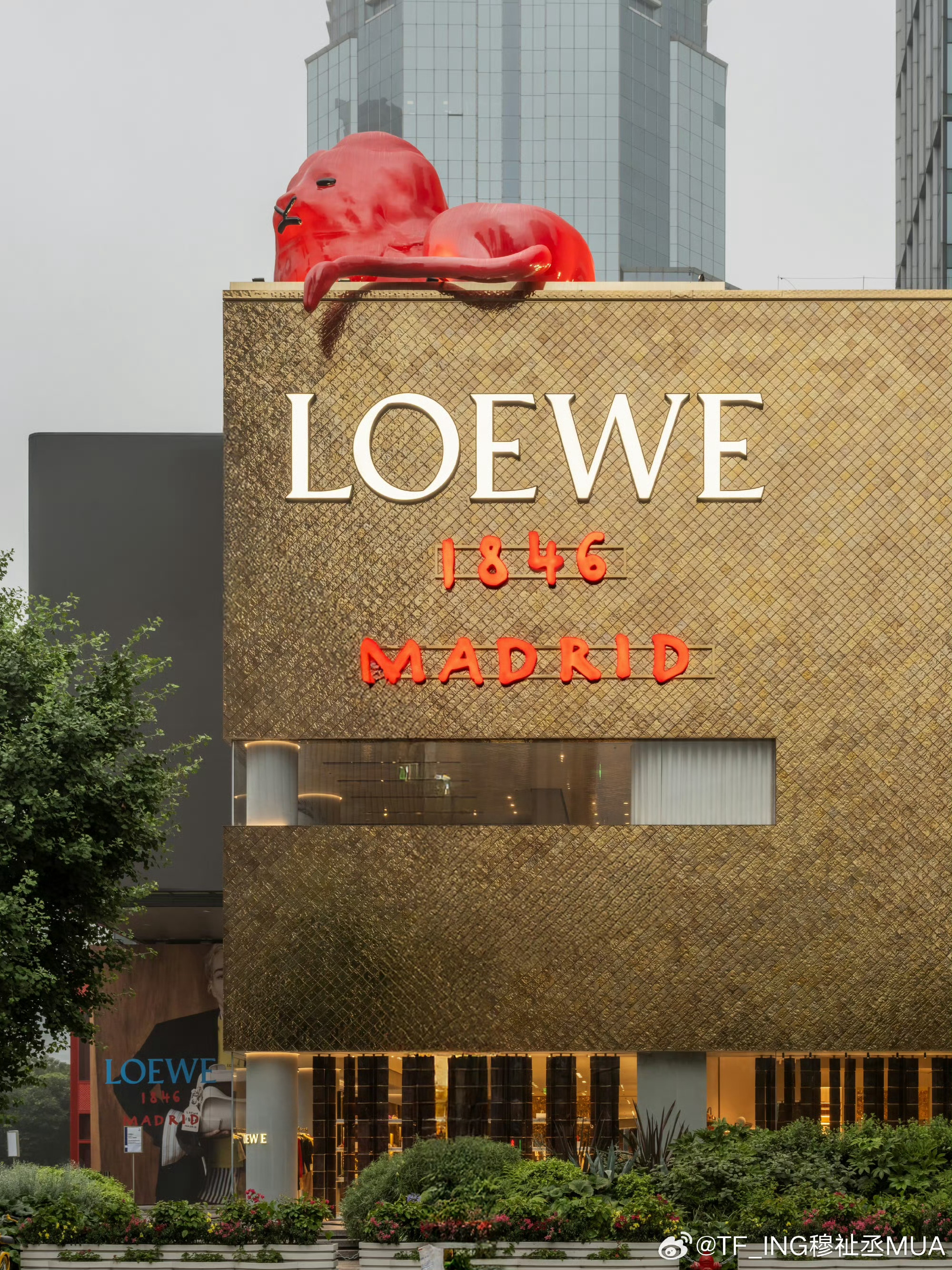 穆祉丞今日亮相Loewe 活动，庆祝品牌成立180周年，身穿西装外套内搭衬衫及牛