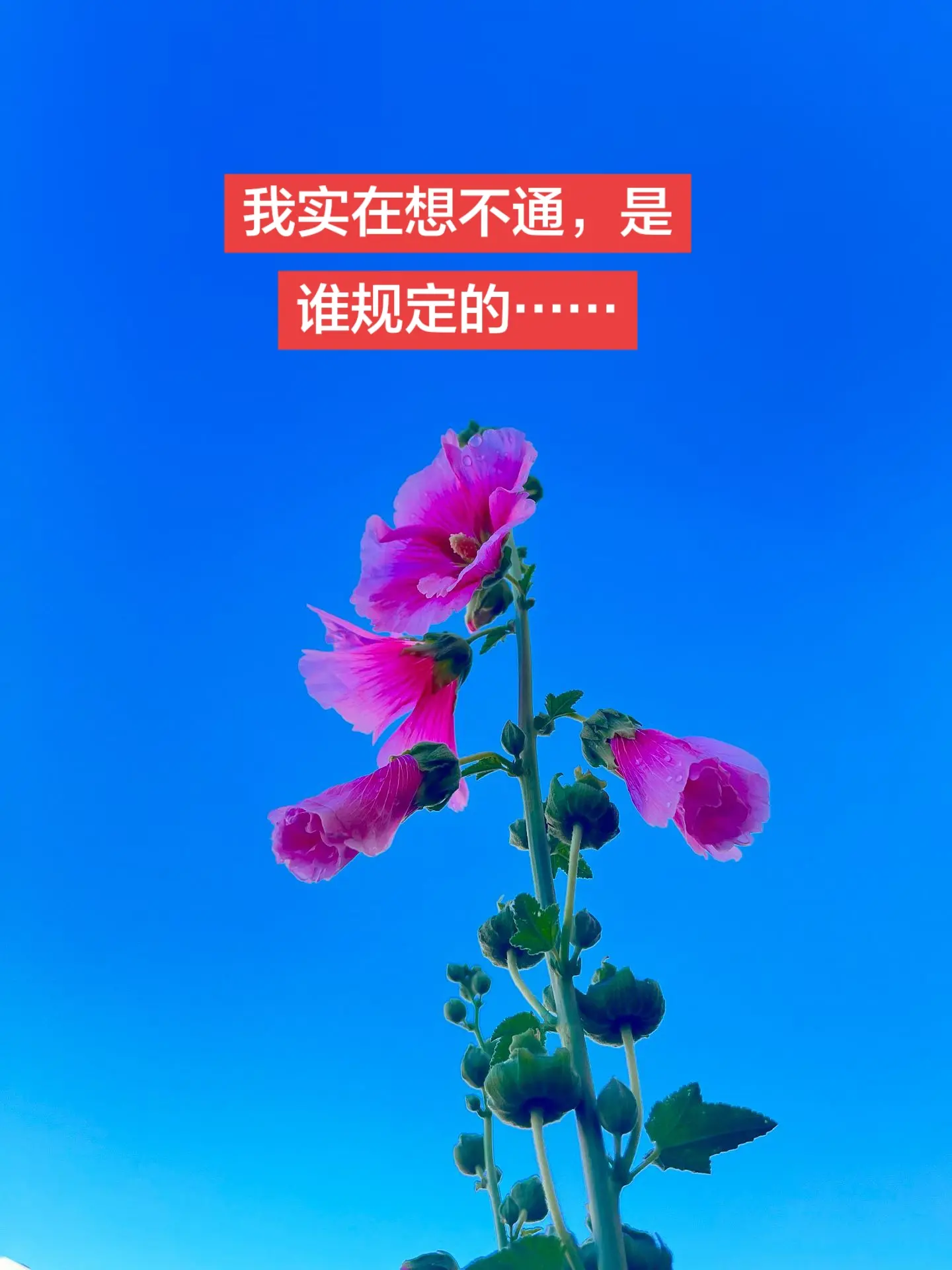 哈哈哈😃雨休开心刷