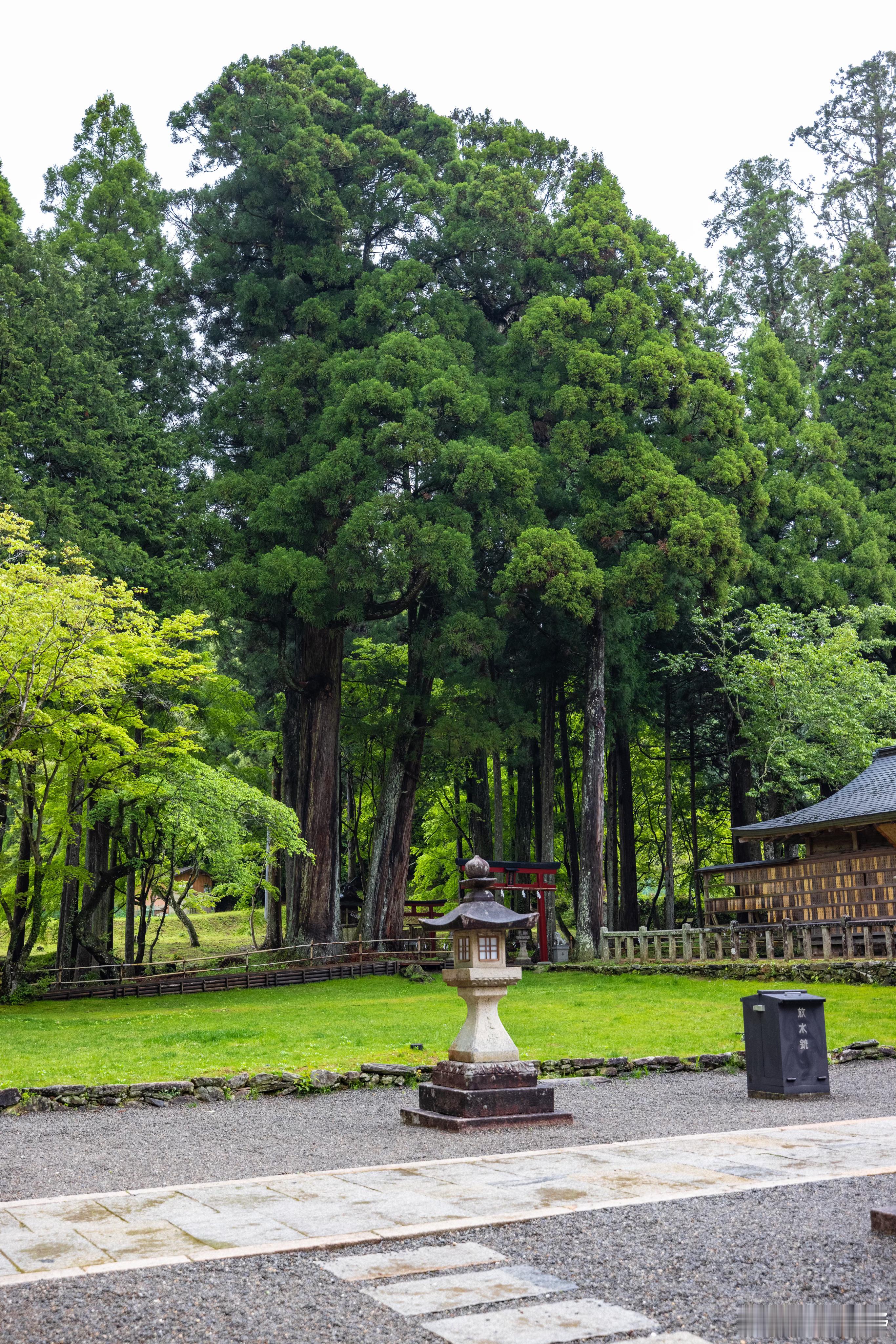 世界文化遗产｜丹生都比卖神社 