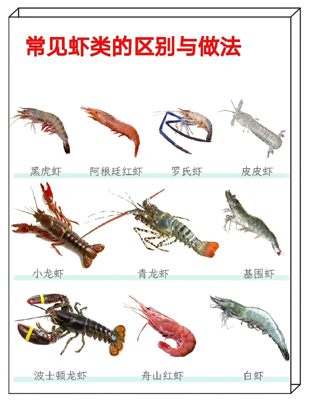 🦐虾类吃法大赏！12种常见虾做法快码住