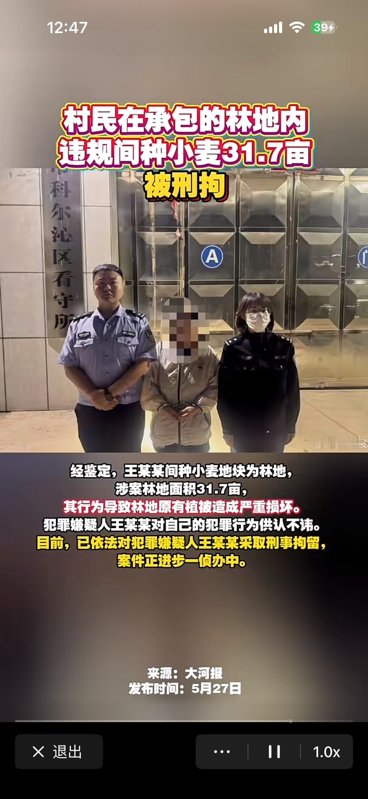 内蒙古通辽一农夫在林间的间隙种了小麦，被刑事拘留。网友不明真相，义愤填膺在网上骂