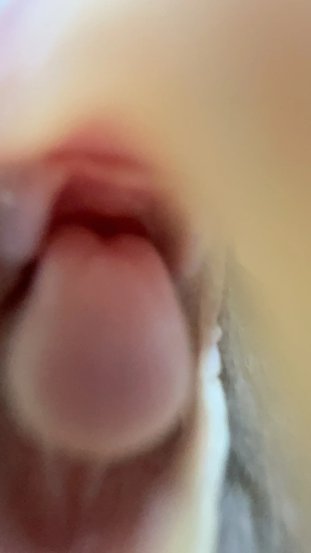 极具诱惑力的👅