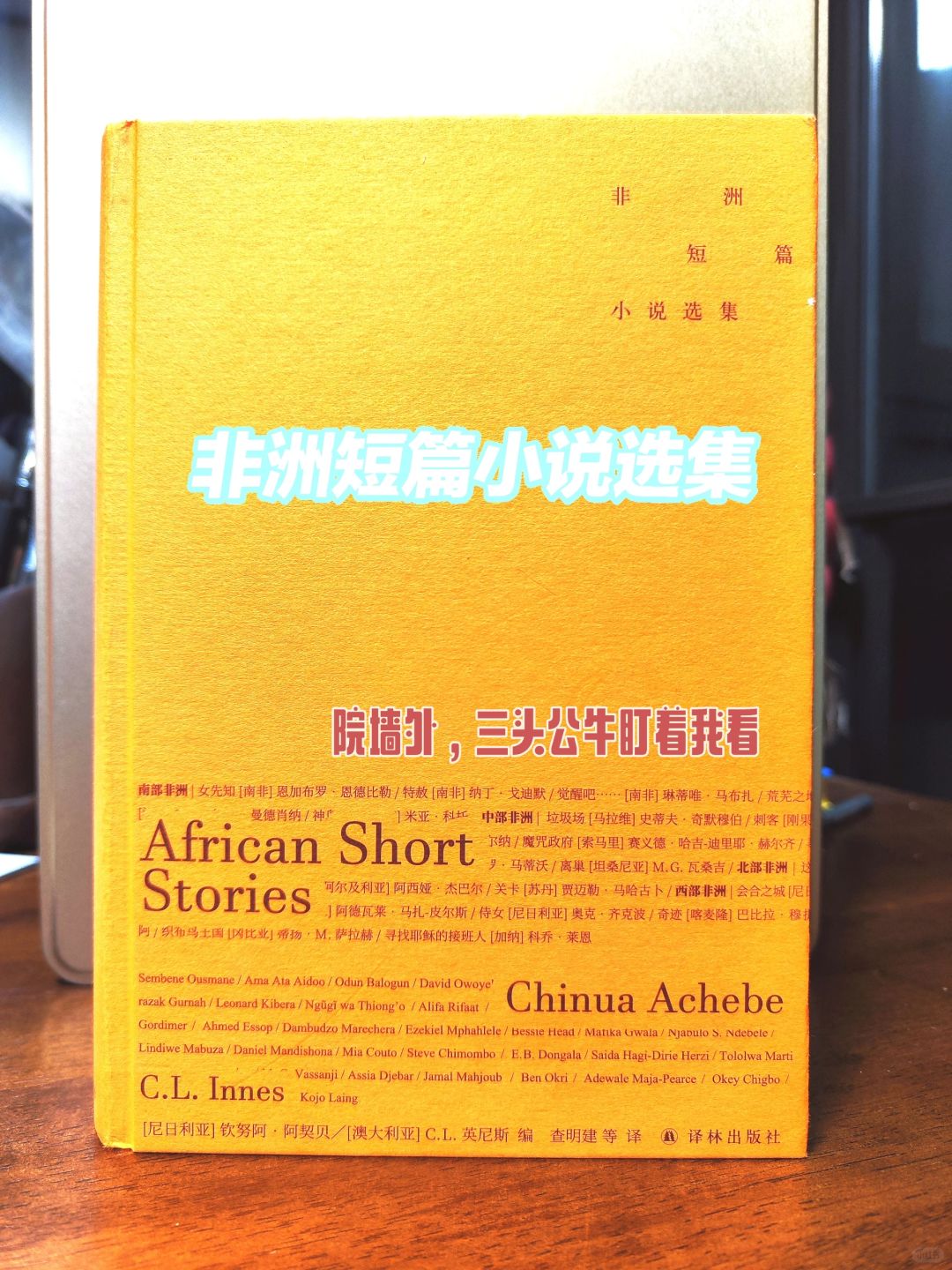 第442本：院墙外，三头公牛盯着我看
