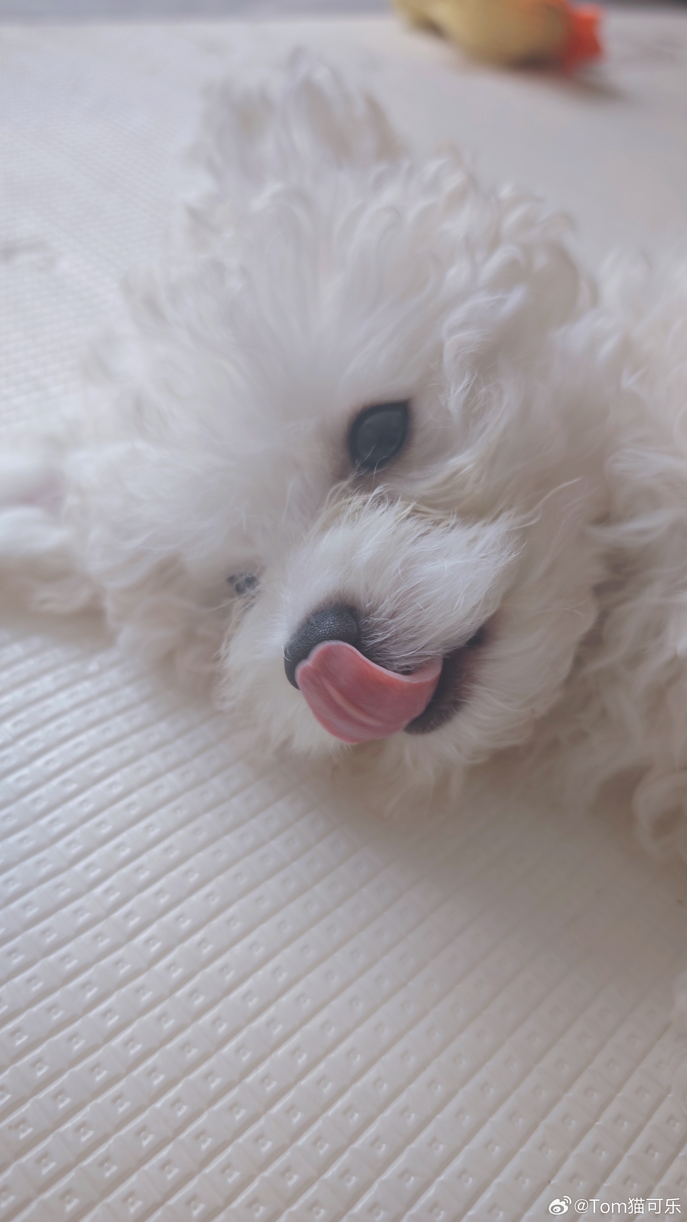 抓拍 