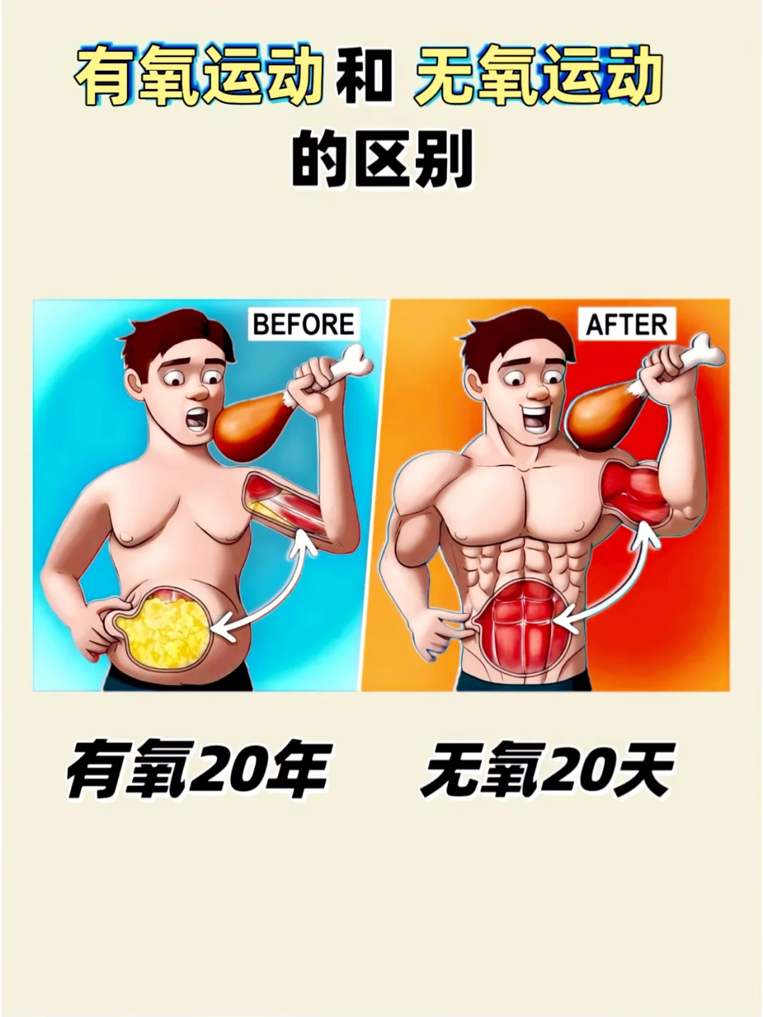 有氧运动和无氧运动的区别