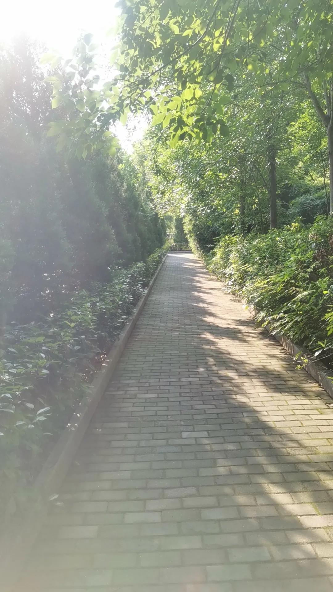 我明白，
人生就是一场闹剧，
多年前受的伤，
留下的疤，
我以为会被岁月抹平。