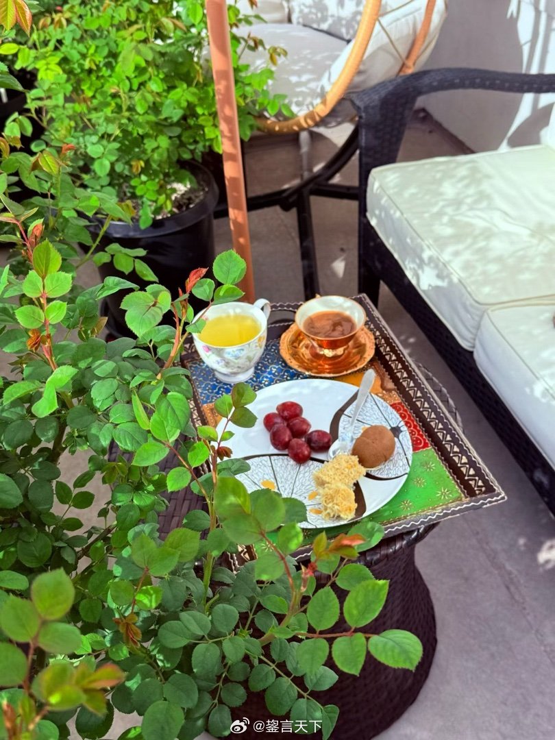 吉哥的coffee time.  乖妈摄影 