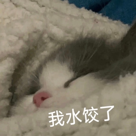 水饺！！！！！！！！！！！！！！！！！！！！ 