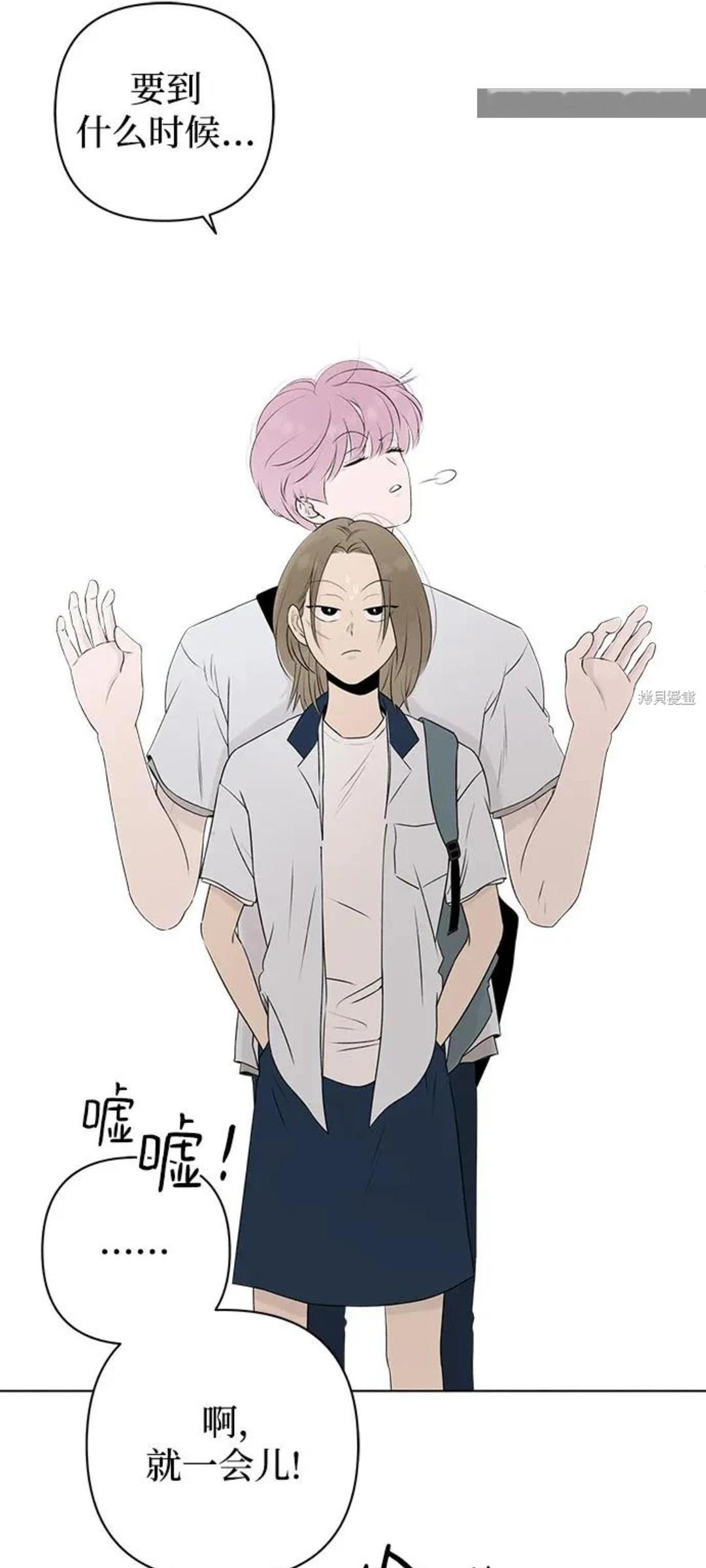 啊啊啊啊啊孔雀男和木头女