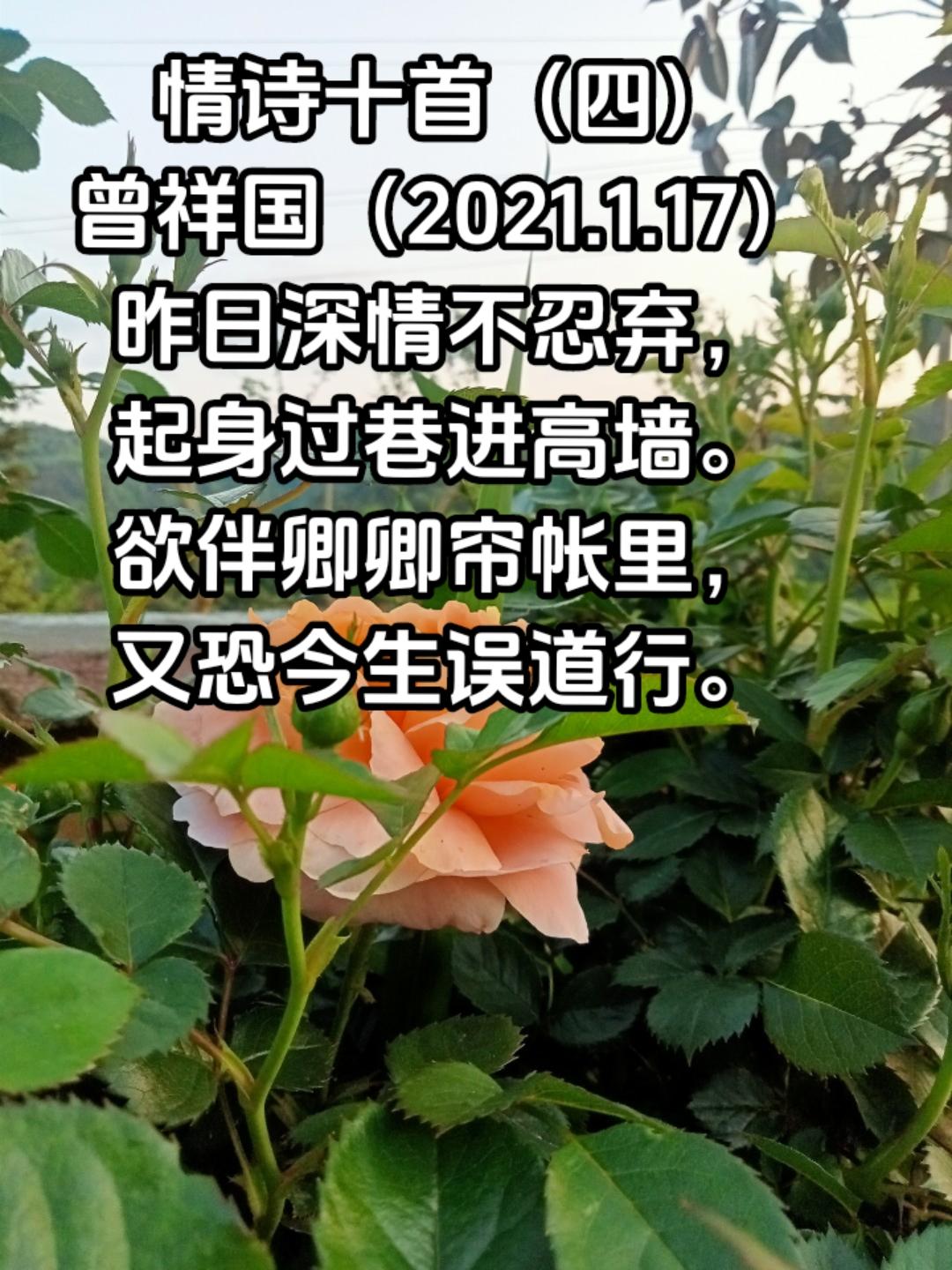情诗十首（四）