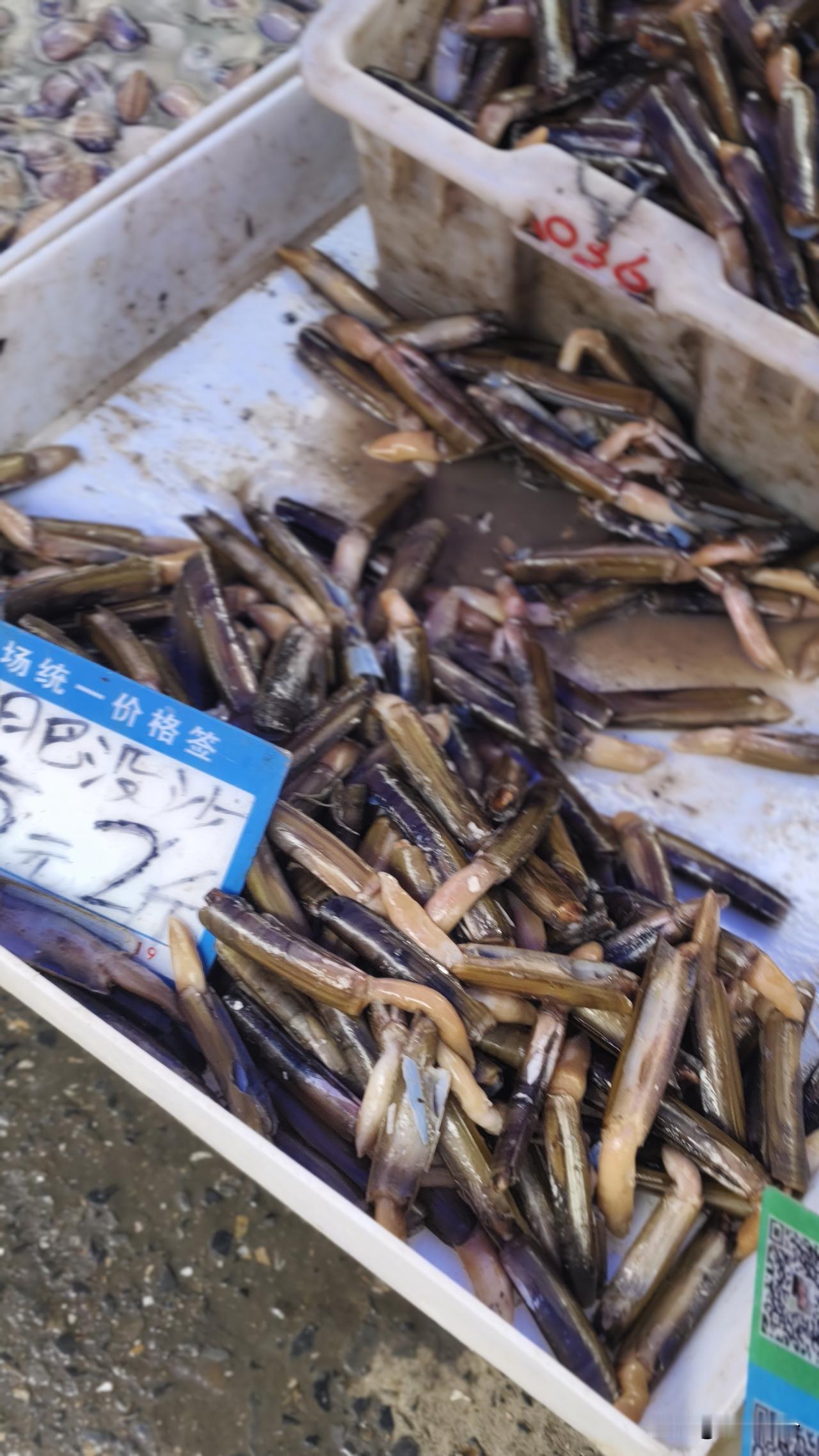 今天什么日子去大沟常买蓝莓的那家没出摊，常买苹果的那家没出摊，常买常买耙耙柑的那