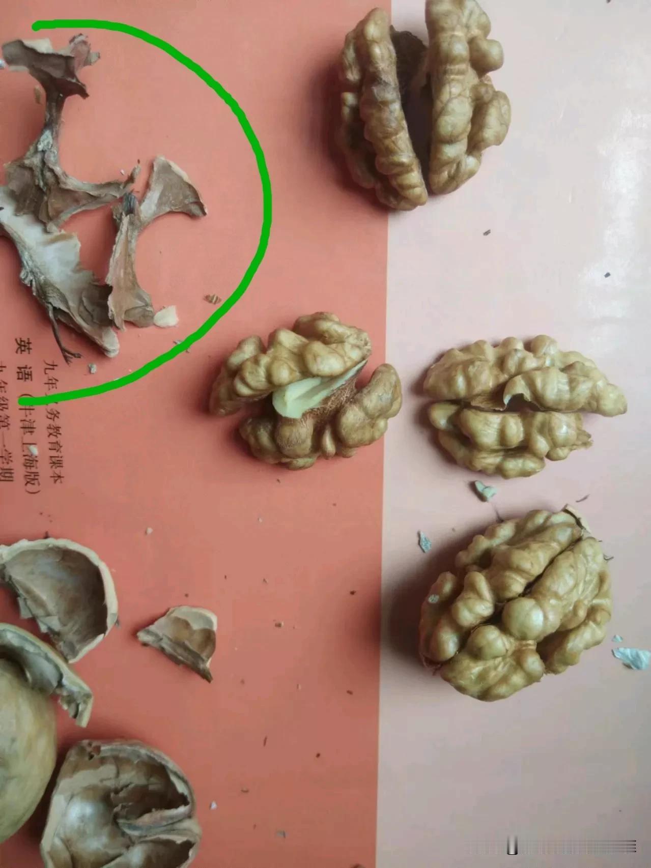 大家都知道吃核桃健脑，一天吃几个对身体特别有好处，但是大家不一定知道核桃隔心膜（