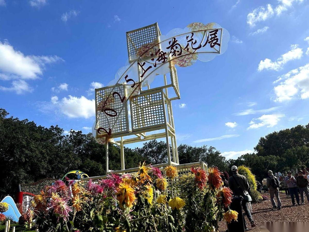 我一定是疯了。
30站地铁，再暴走2公里，来回路上花掉4个钟头。就为了看几朵菊花