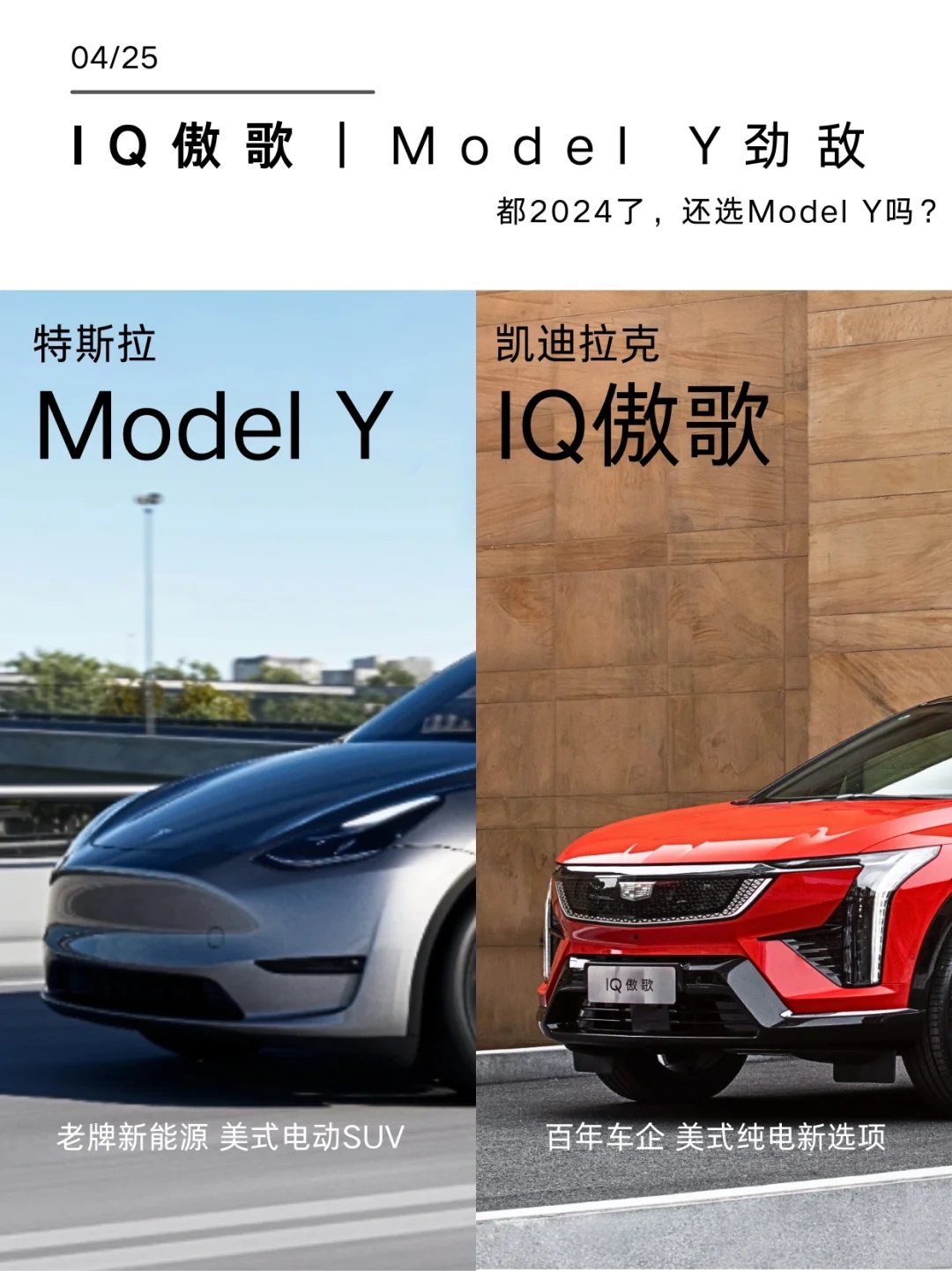 我发现，Model Y算是遇到劲敌了