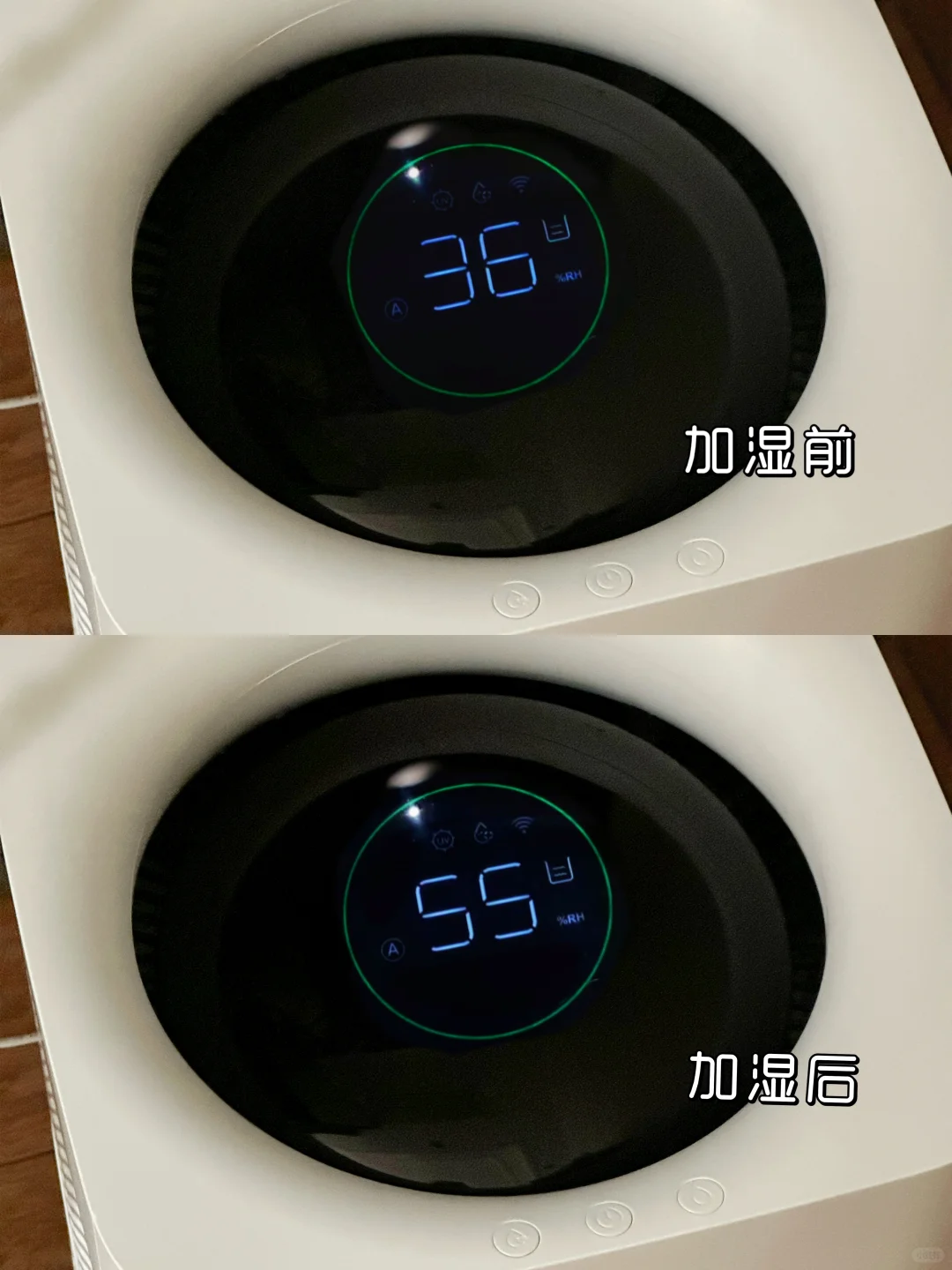 好用鼠了😭秋冬真离不开这个小气泡加湿器