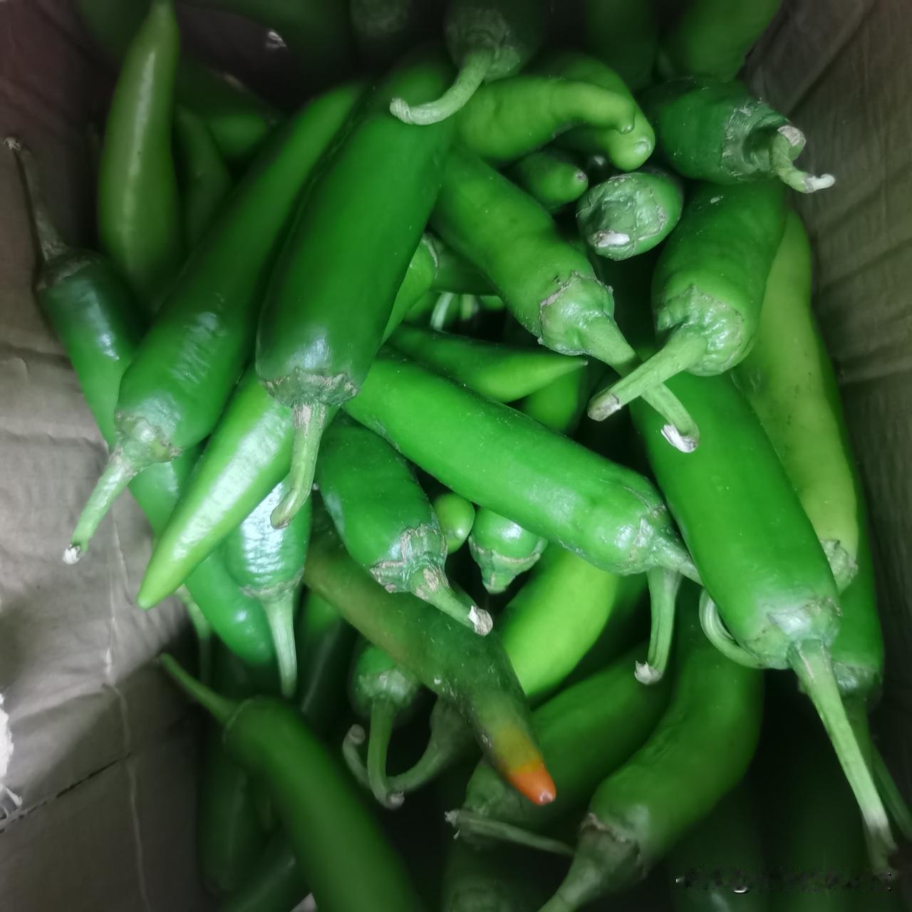 终于找到一个简单快捷的挣钱方法。我每天挣钱，老公太高兴了。

如今，我几乎不出门