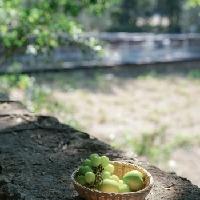 我的今日状态：😁轻松愉快
我这里的天气：☀️晴天