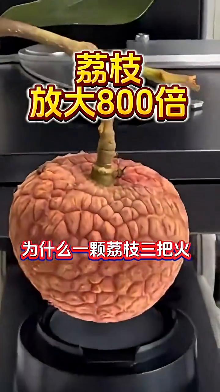 荔枝放大800倍。
为什么一颗荔枝三把火？吃荔枝会上火，竟然是缺少维生素。有粉丝