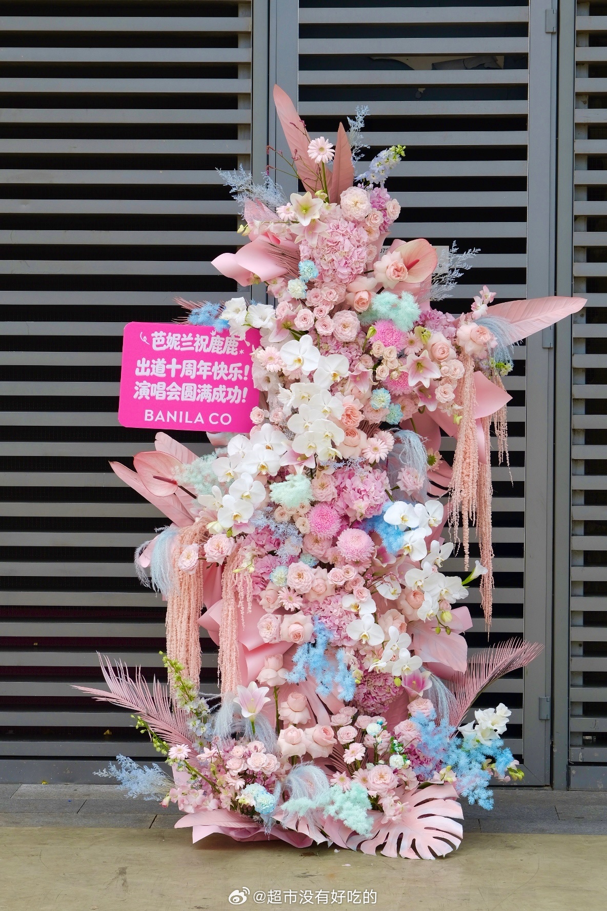 小芭给白鹿十周年见面会送了祝福花篮KOI给现场粉丝送了奶茶喝祝白鹿今晚演出顺利白