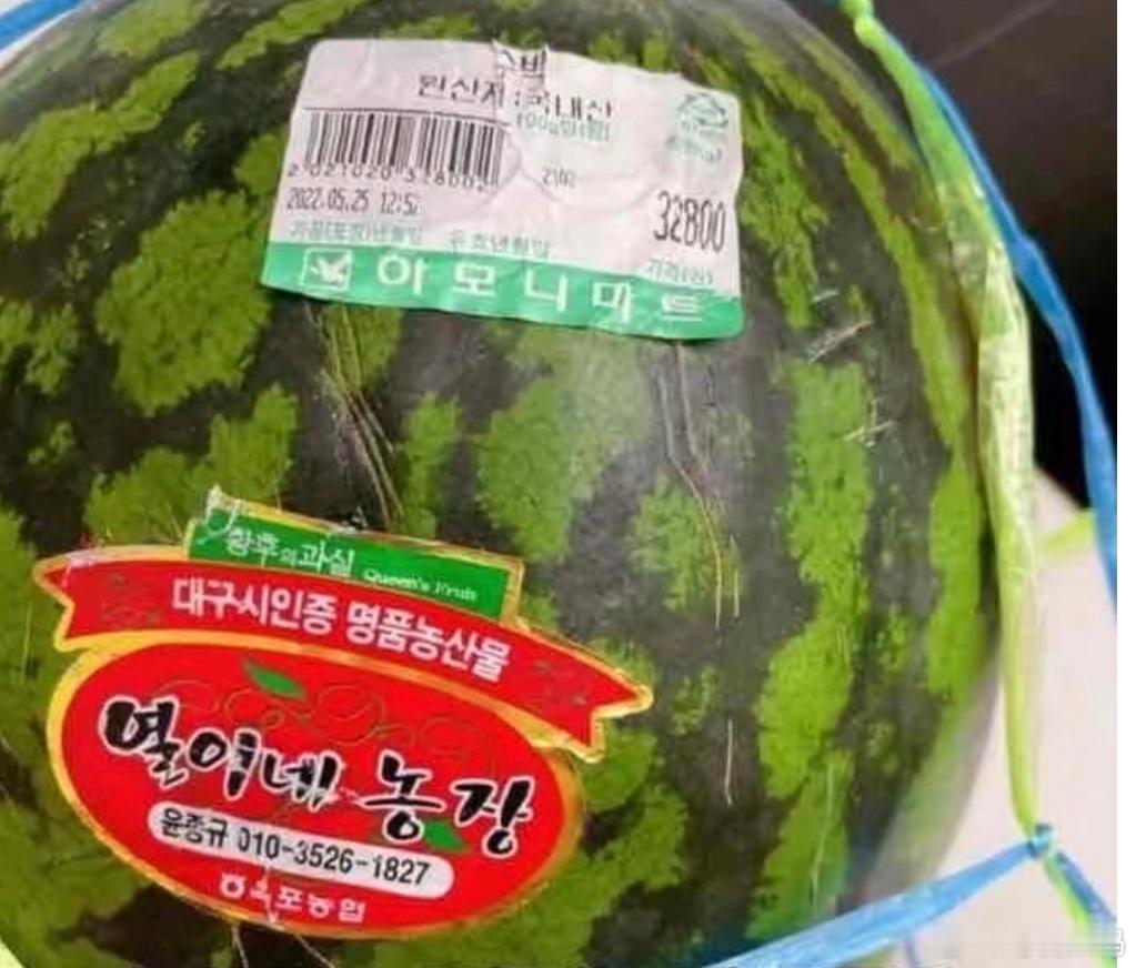 韩国发生热通胀啊？韩国156一个西瓜，还是国内好啊，15.6还送你勺子[doge