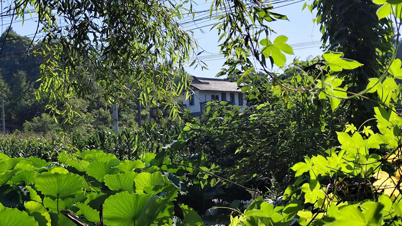 乡下农村自然风景怎么拍照?