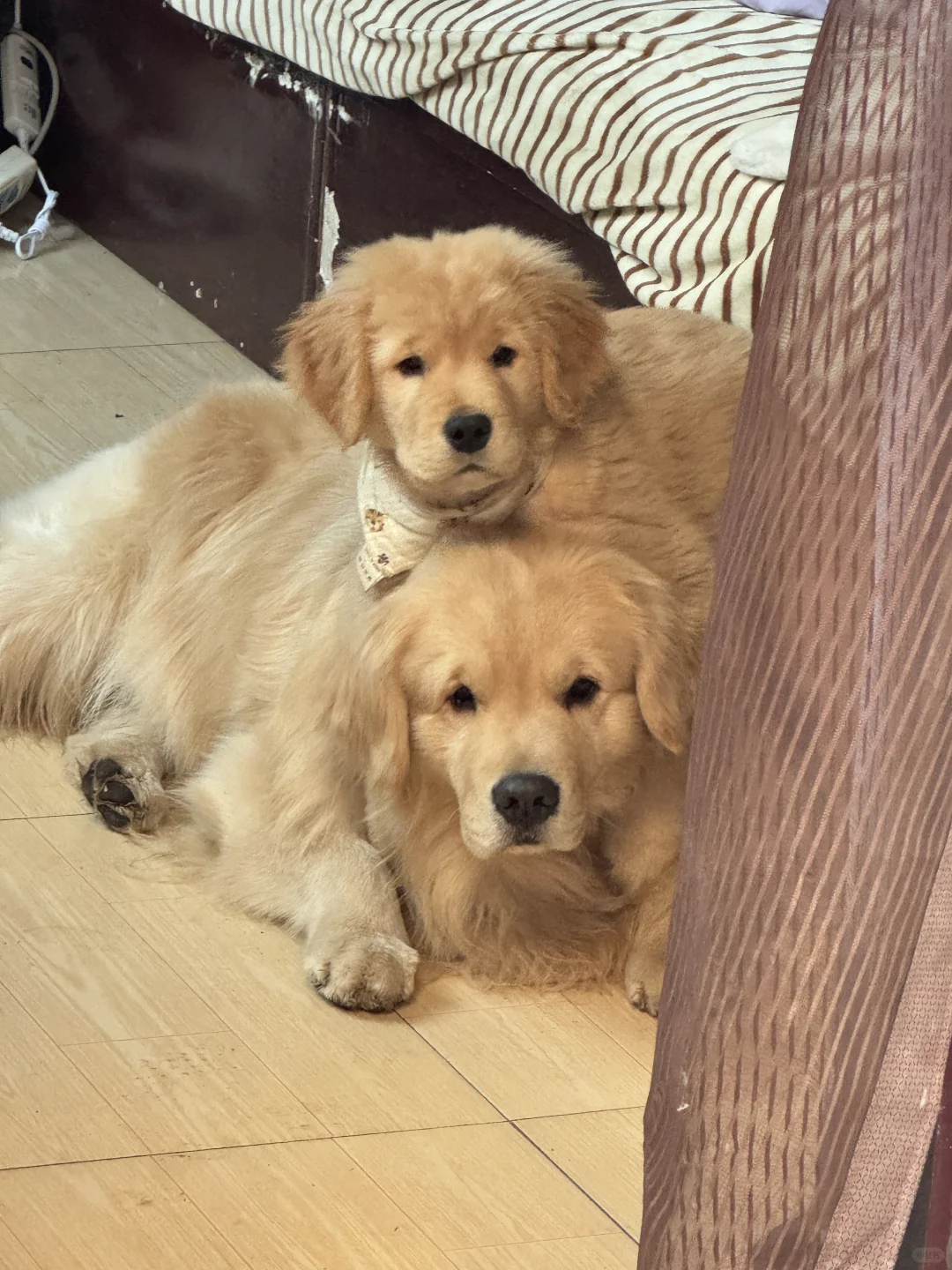 泥嚎姨姨 我们可以一起玩吗