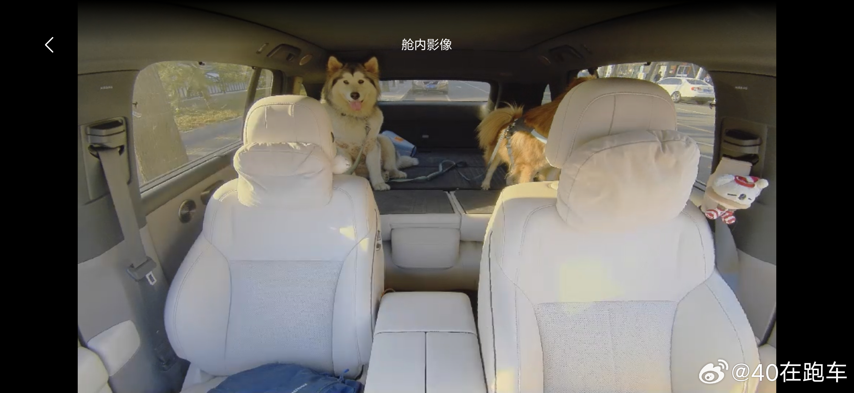 i6的宠物模式挺好用要是像监控一样可以远程对话、再提升一下舱内摄像头的像素就更好