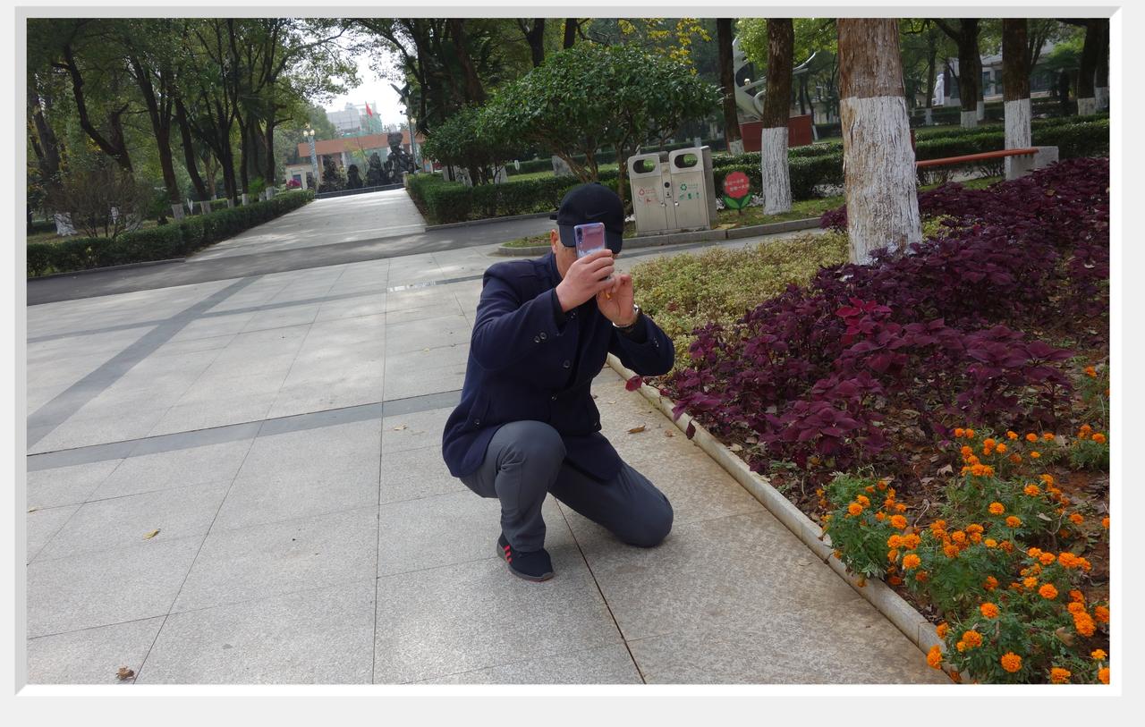 随手一拍
手机
谁都在“咔嚓”、“咔嚓”
都喜欢朋友圈晒照片
旅途风景饭店佳肴生
