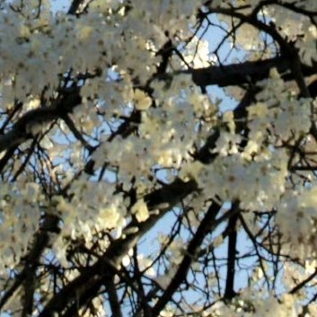 阳光信用‎阳光‎信用 ‎每日一善 人与人之间，应该多一些交流，少一些攀比。因为每