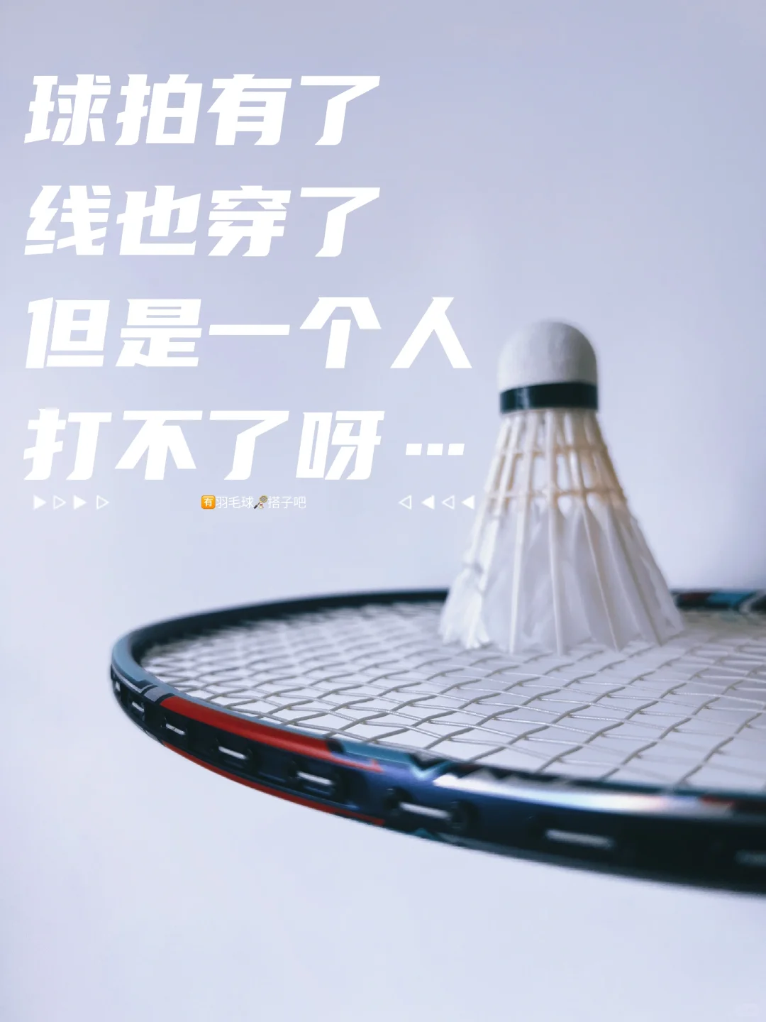 哈哈，入门的简单装备安排好了🏸