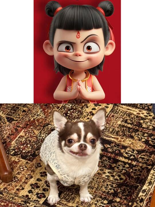 庆祝哪吒破120亿票房！日本快点上映吧！