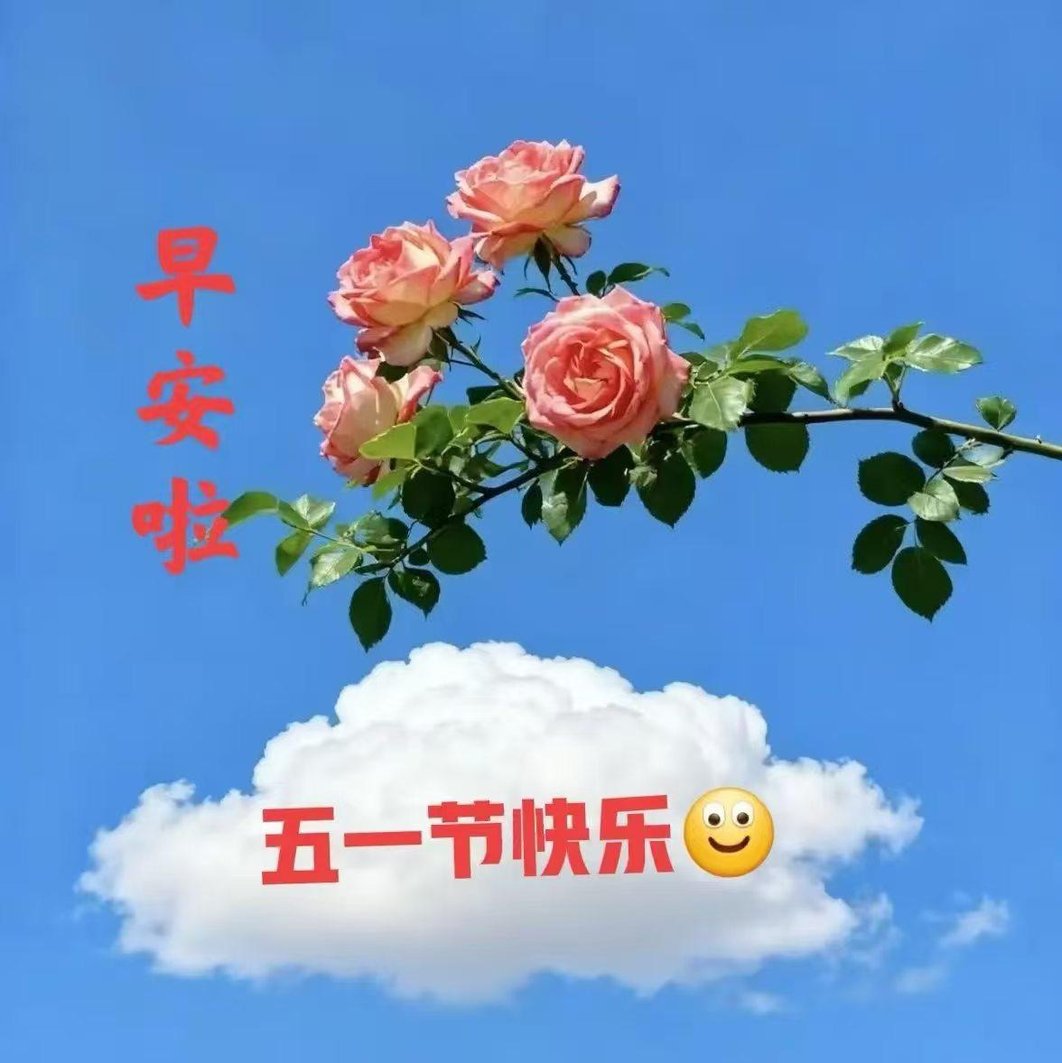 今天是五一劳动节，
人间五月天，
遇见的都是美好，
途径的都是芬芳。
开心每一天