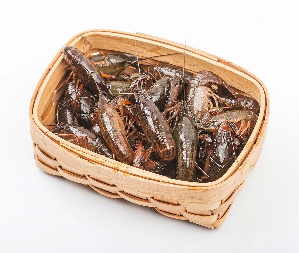 【食品新知 | 关于小龙虾的消费提示】吃小龙虾尽量选蒜香的又到一年“吃虾季”，如