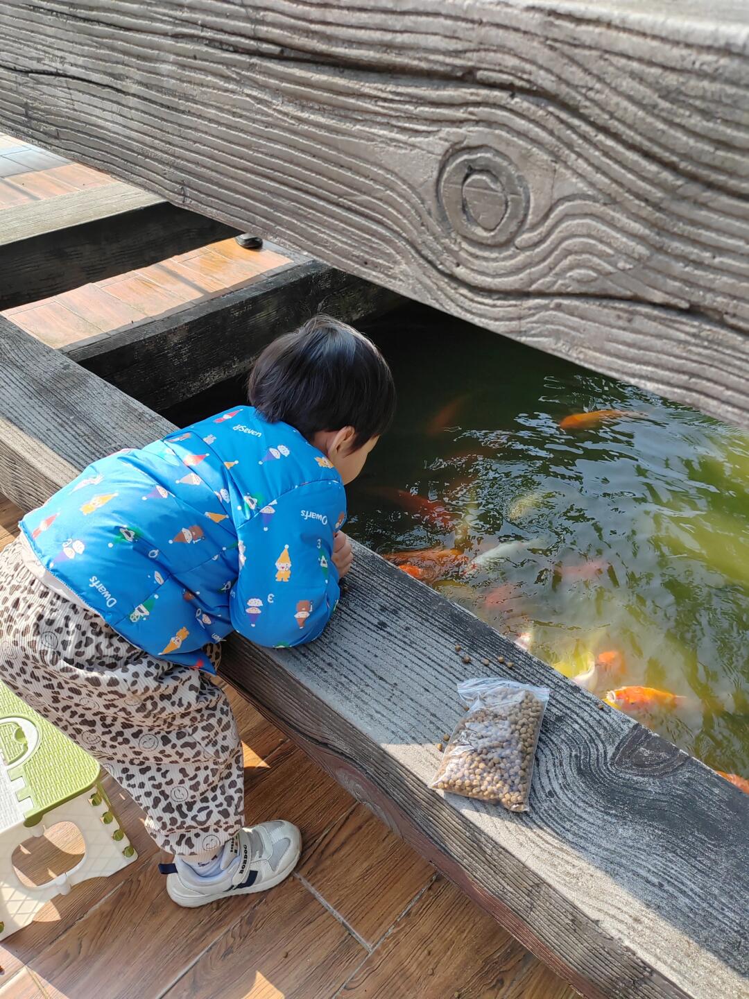 别把孩子养得太老实，要教他强者思维