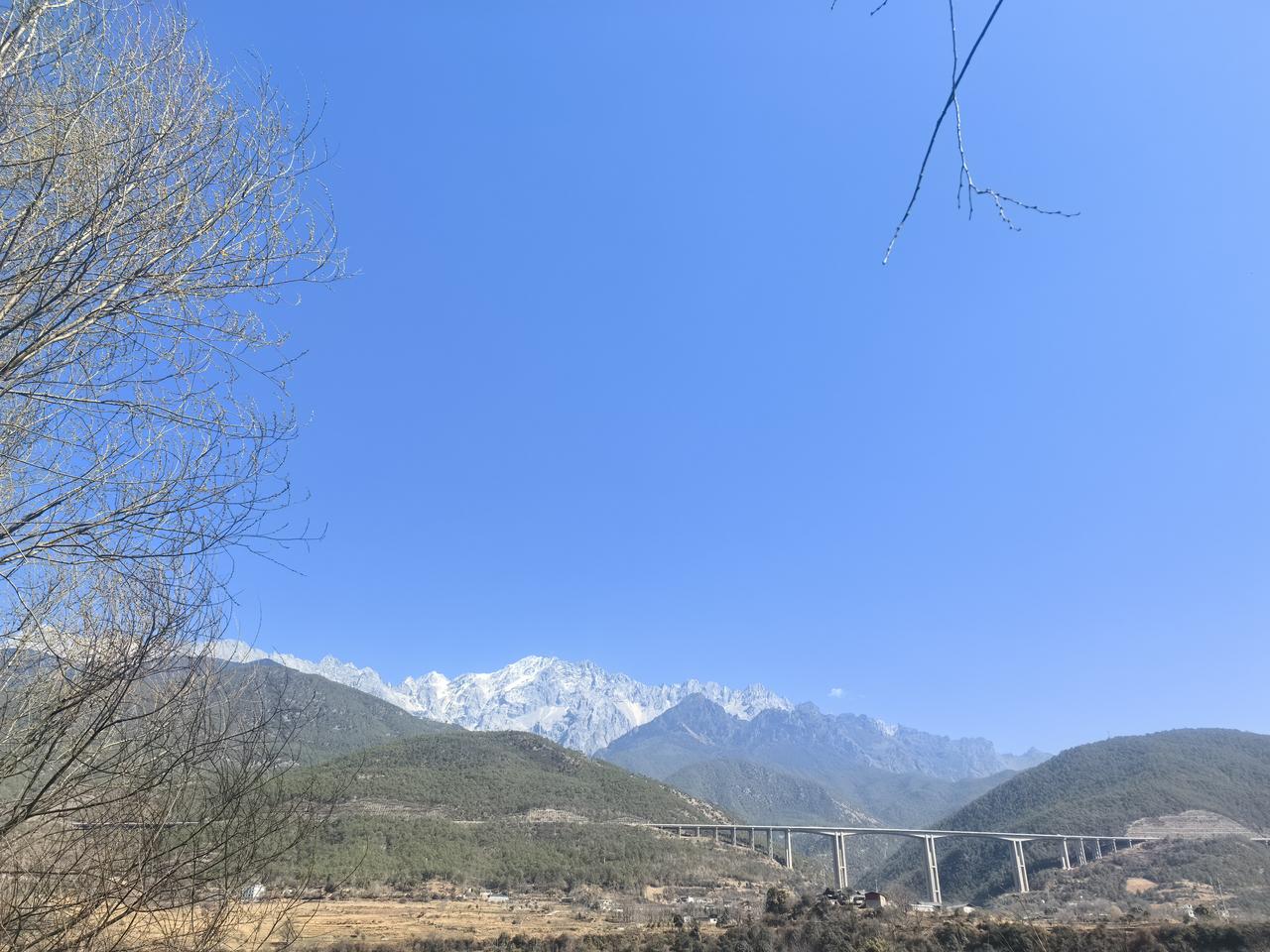 很多精神困扰，根不在脑不在心，而在脾胃！
 
全网都在说：情绪乱、精神差，先调脾
