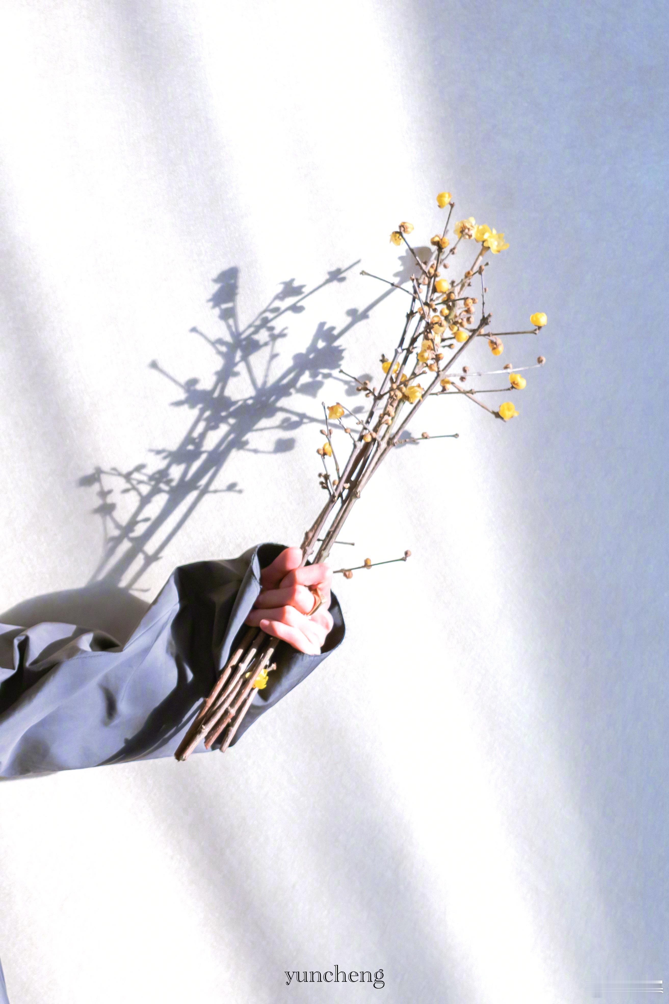 学会宽容，让你的生活没有烦恼；学会奉献，让你的生活充满阳光。 其实天很蓝，阴云总